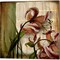 Vintage Studio by Patricia Pinto 14" x 14" Canvas Wall Art (Set of 2)
